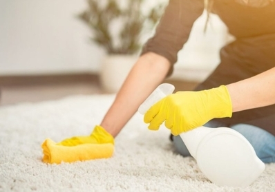 Eco-Friendly Carpet Cleaning: How We’re Making a Difference blog image